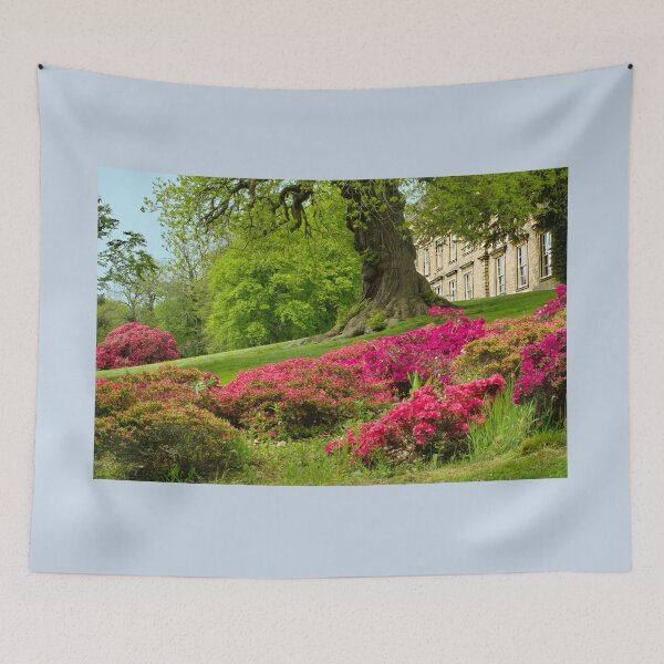 Item preview, Cannon Hall Barnsley  designed and sold by Alisonchambers2.