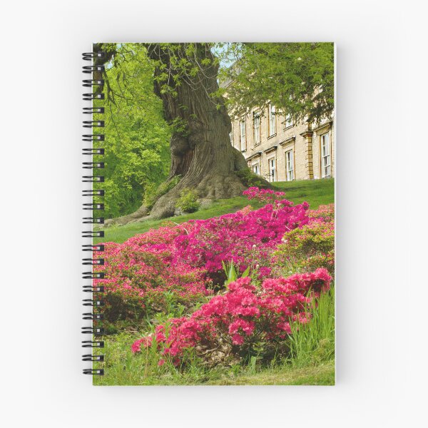 Item preview, Cannon Hall Barnsley  designed and sold by Alisonchambers2.