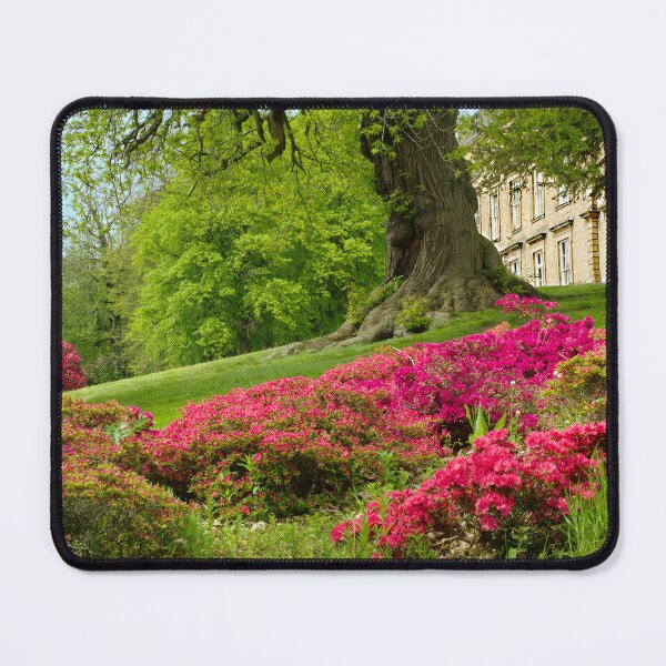 Item preview, Cannon Hall Barnsley  designed and sold by Alisonchambers2.