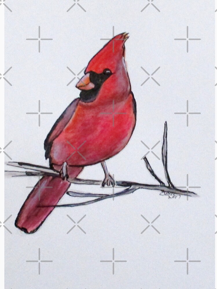 Northern Cardinal by cjkell
