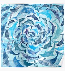Water color dolphins Poster