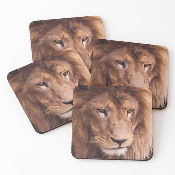 Item preview, Lion head stylized designed and sold by AlexSin.