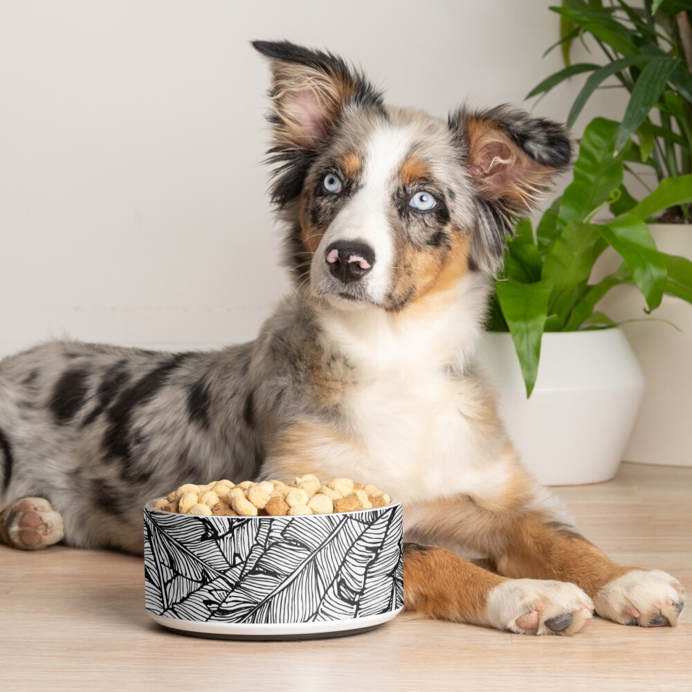 Black & White Jungle Pet Bowl