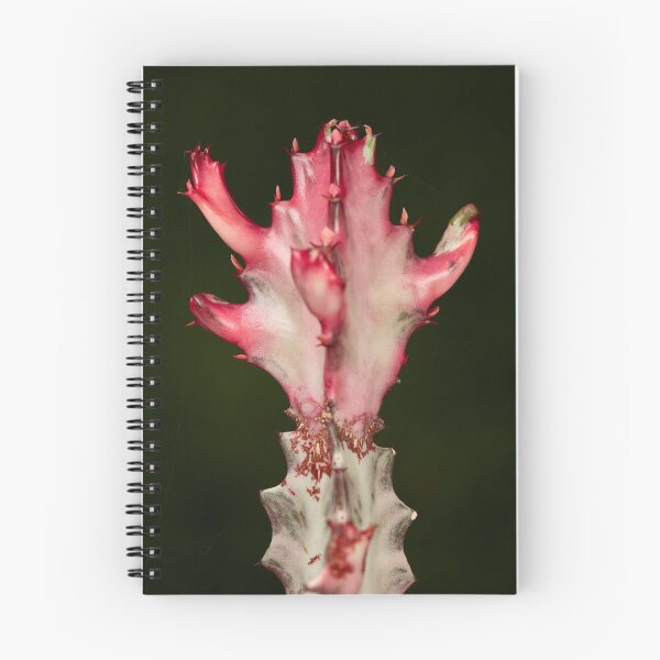 Item preview, Velvet Opuntia designed and sold by Luis Rosales.