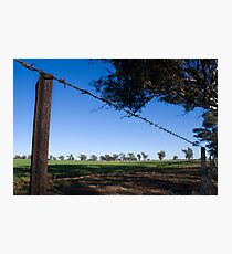 Fence Photographic Print