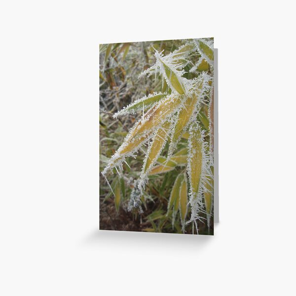 winter bamboo Greeting Card