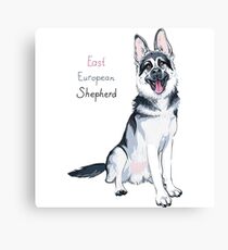East European Shepherd dog Canvas Print