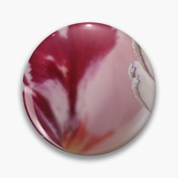 Item preview, closeup of gladiolus in pink and cream designed and sold by DigitalEurydice.