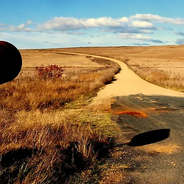 Artwork thumbnail, Target Practice - Rural Australia by Lexa Harpell