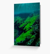 Waterscape. Greeting Card