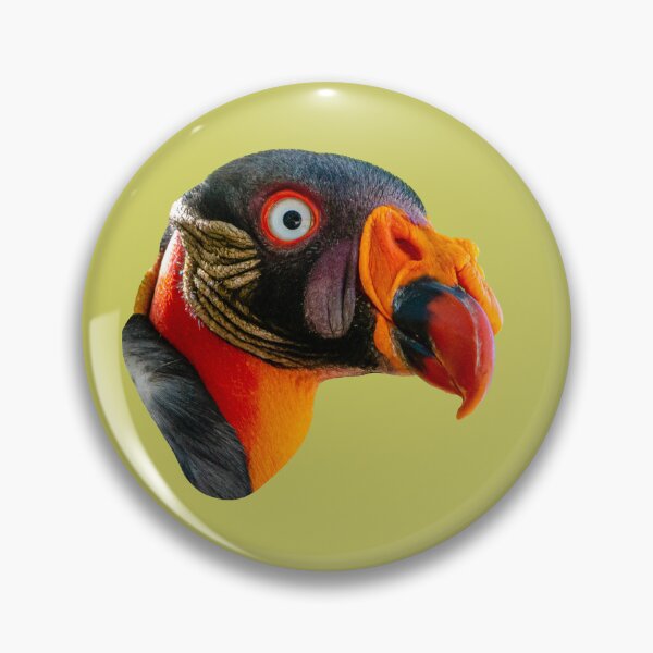 Item preview, The head of a King Vulture designed and sold by Dalyndigital Photography.