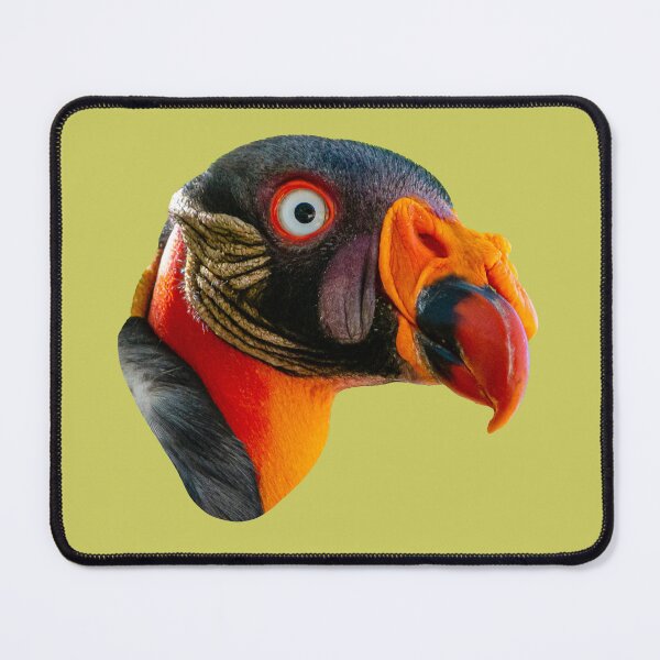 Item preview, The head of a King Vulture designed and sold by Dalyndigital Photography.