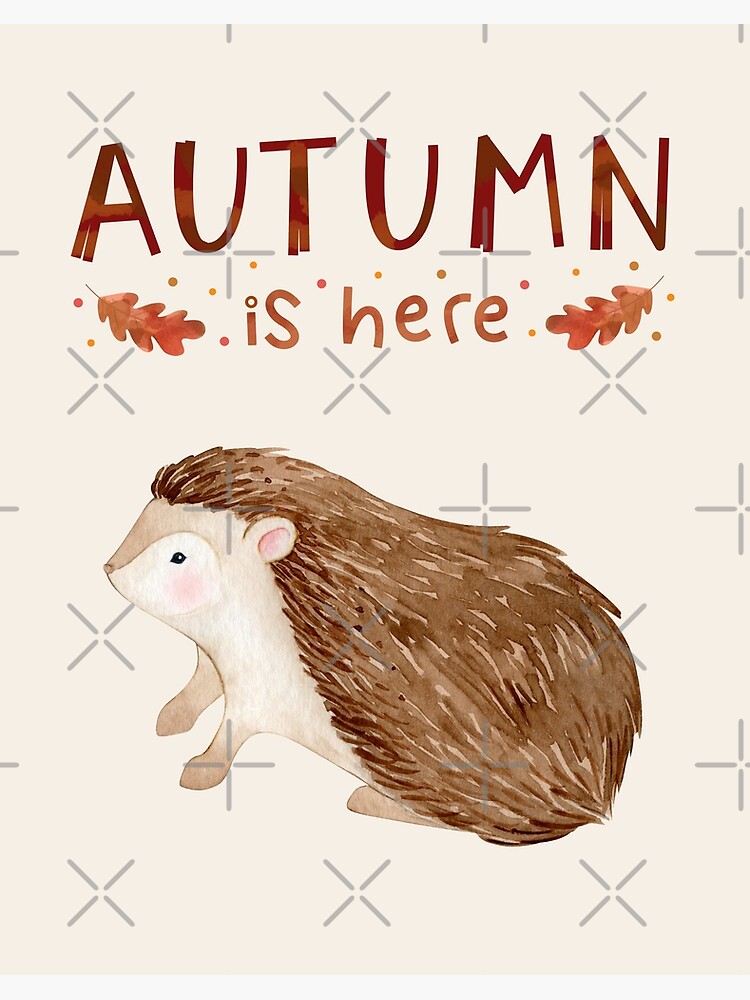 Baby Shadow the Hedgehog – Autumn Theme