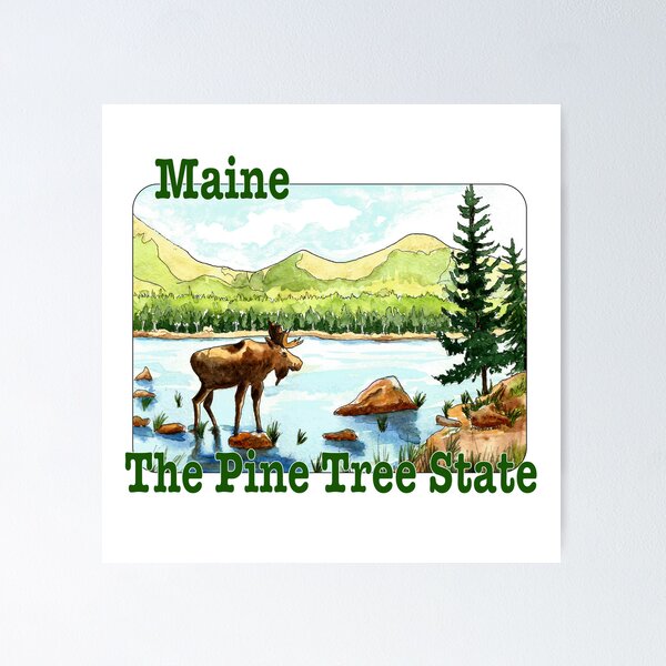 Item preview, Maine, The Pine Tree State designed and sold by MMc Buck.