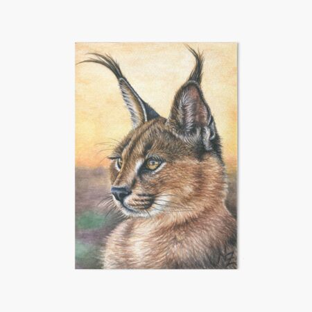 Caracal Art Board Prints for Sale | Redbubble