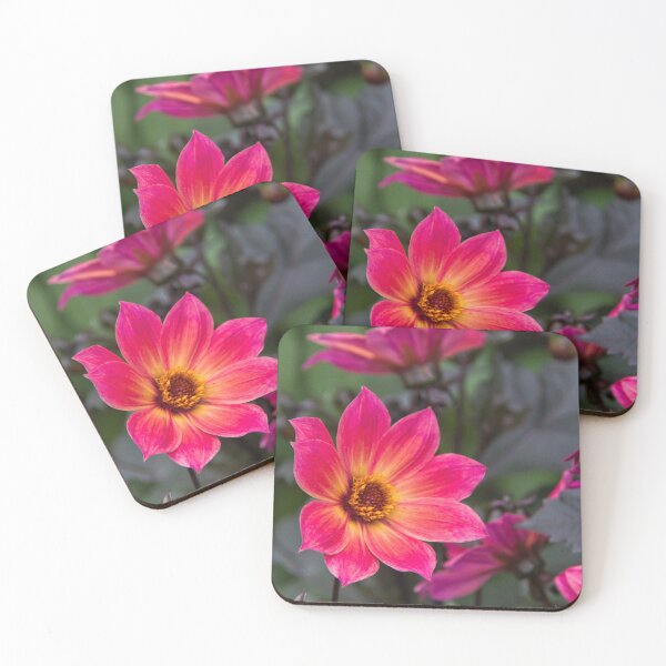 Item preview, Pink Dahlia designed and sold by Viv Thompson Photography .