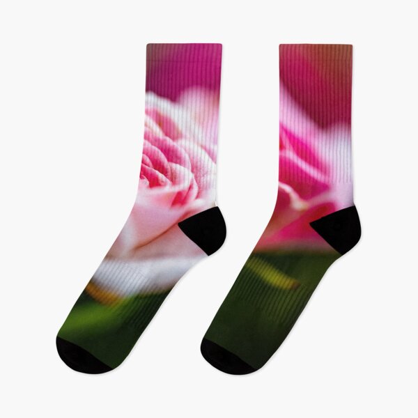 Aperçu de l'œuvre Roses roses créée et vendue par TP-Designs.