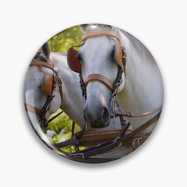 Item preview, two white horses at a carriage designed and sold by FotoMahieu.