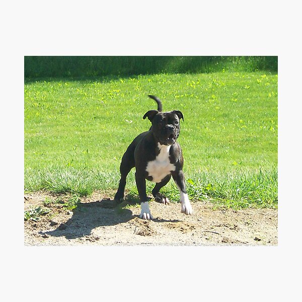 ROXY!!!!!!!!!! Photographic Print