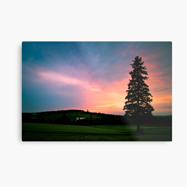 a long time from now Metal Print