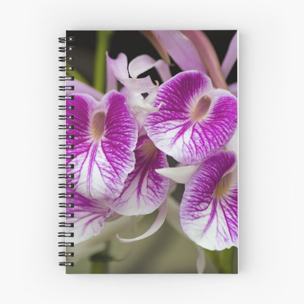 Artikelvorschau, Vibrierende rosa Orchideen entworfen und verkauft von TP-Designs.