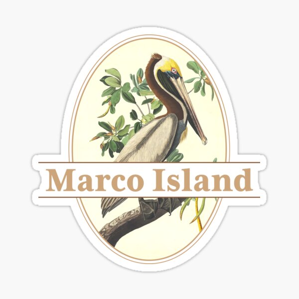 Item preview, Marco Island Florida Vintage Pelican Design designed and sold by Futurebeachbum.