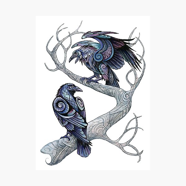 Hugin and Munin Photographic Print