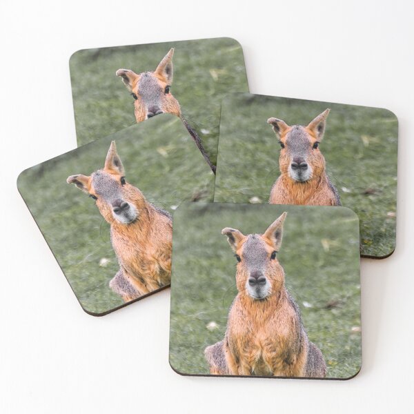 Item preview, Patagonian Mara designed and sold by JEZ22.
