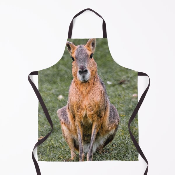Item preview, Patagonian Mara designed and sold by JEZ22.