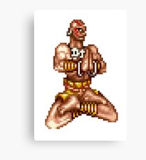 Dhalsim Canvas Print