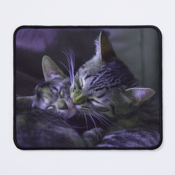 Item preview, Cute cats designed and sold by Amadej.