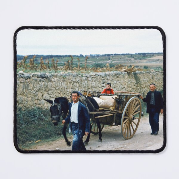 Item preview, 1950s - Scene from Rural Spain - Mule Cart designed and sold by thatwaslife.