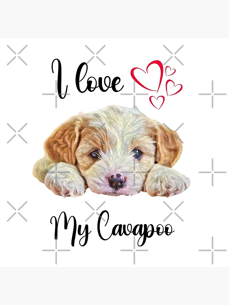 I Love My Cavapoo T Shirt Cavapoo Dog Mat Cavapoo Bandanas Cavapoo Accessories Cavapoo Decor Pillow