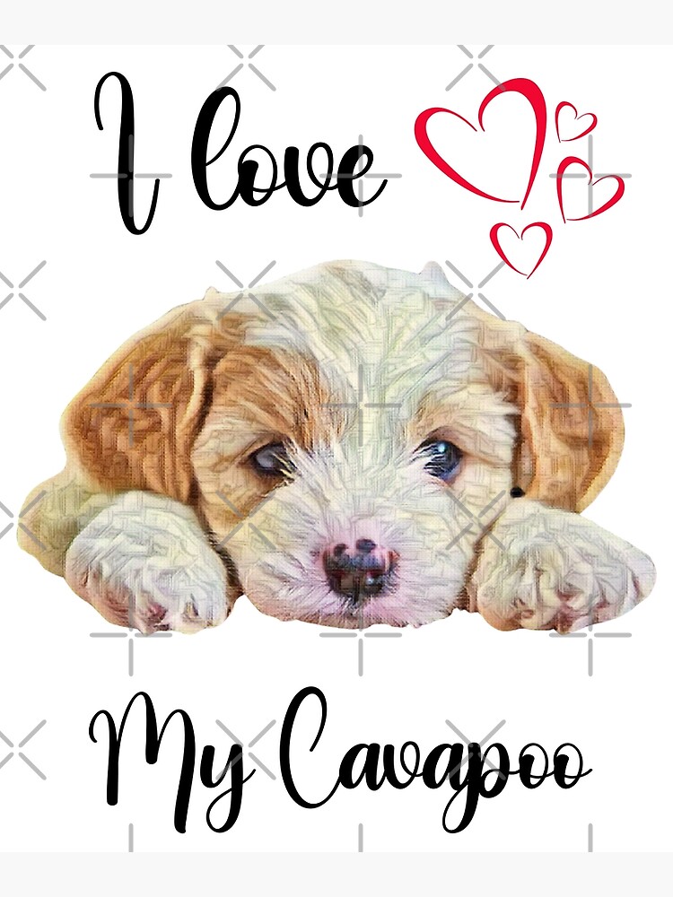 "I Love My Cavapoo TShirt/ Cavapoo Dog Mat/ Cavapoo Bandanas/Cavapoo