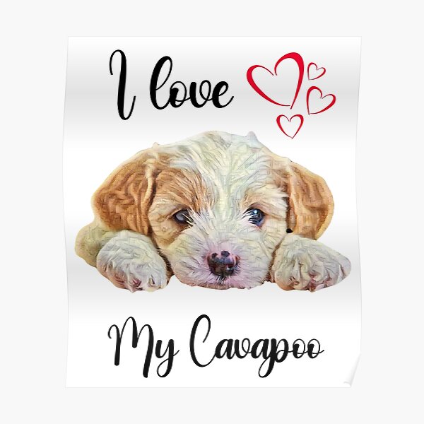 "I Love My Cavapoo TShirt/ Cavapoo Dog Mat/ Cavapoo Bandanas/Cavapoo