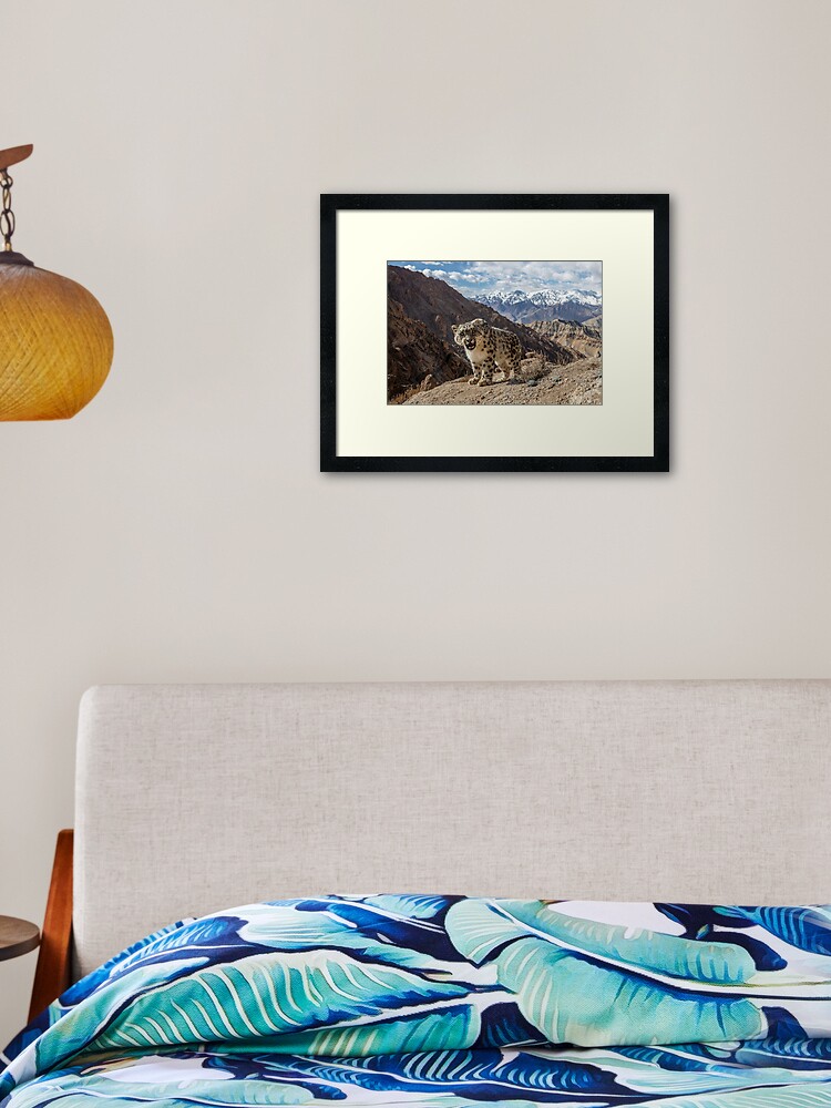 Thumbnail 1 of 7, Framed Art Print, Growling Snow leopard designed and sold by sascha-fonseca.