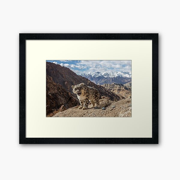 Framed Art Print