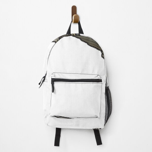 lost aviation Backpack
