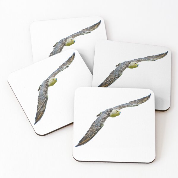 Item preview, Greenland Falcon designed and sold by Dalyndigital Photography.