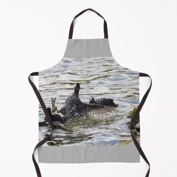 Item preview, Coot Fight  designed and sold by Wayne Thomson.