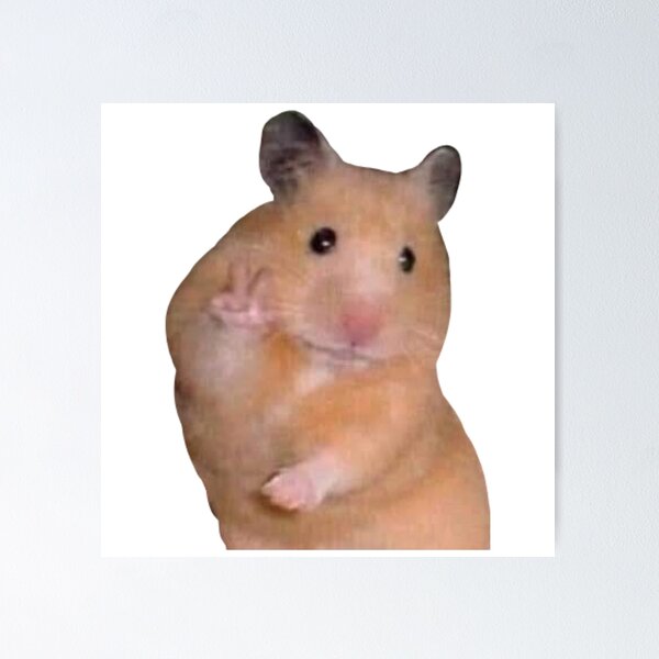 Artikel-Vorschau von Hamster-Meme, designt und verkauft von yeehawboyy.