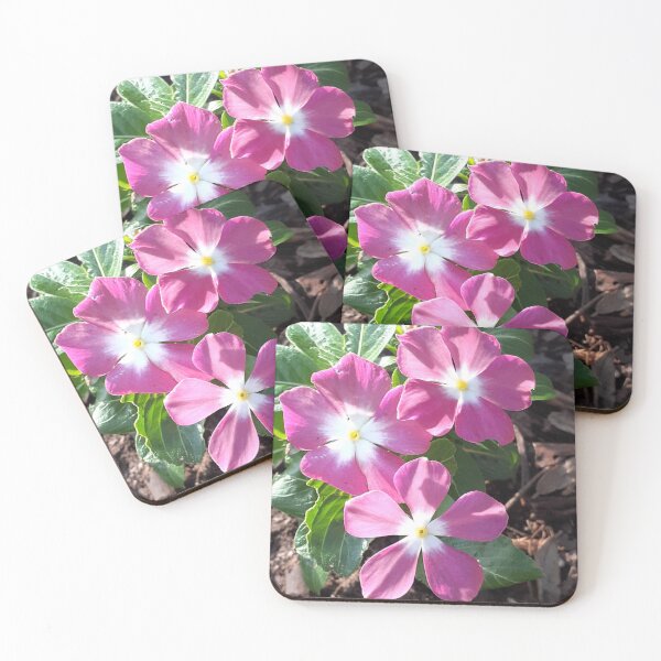 Item preview, Madagascar Periwinkle  designed and sold by KapturedImagery.