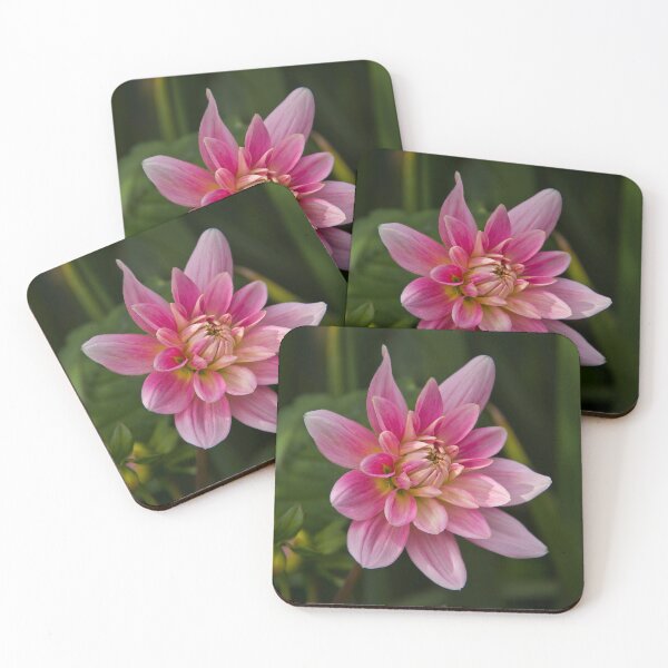 Item preview, Pink Beauty designed and sold by Viv Thompson Photography .