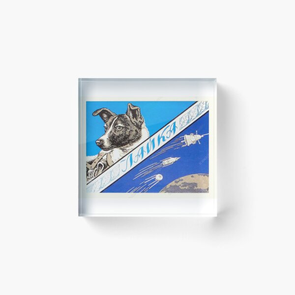 Item preview, Laika, first space dog — Soviet vintage space  designed and sold by Designandlove.