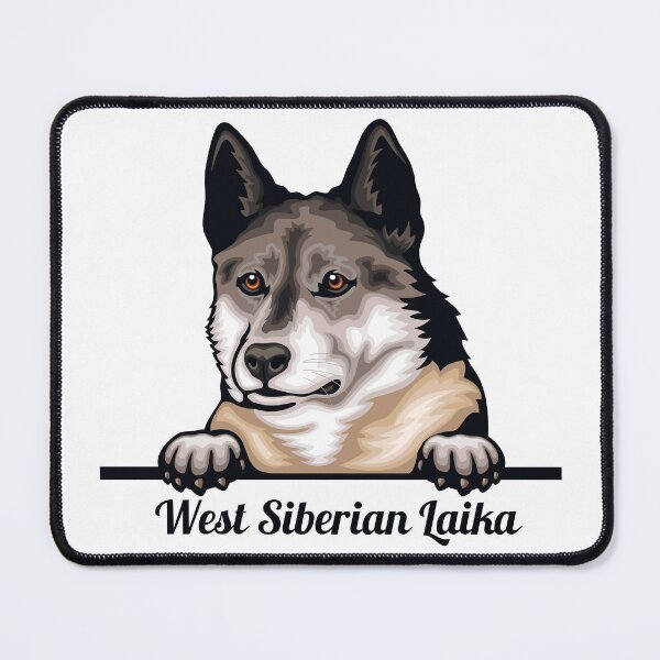 Item preview, West Siberian Laika, first space dog Soviet vintage space designed and sold by Designandlove.