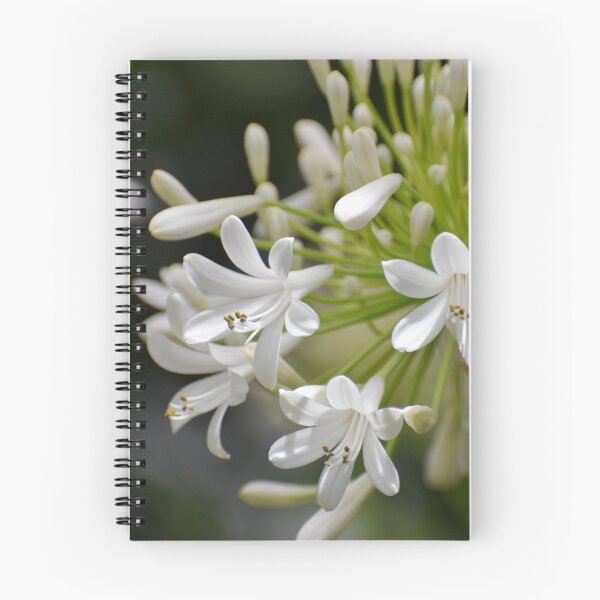 Item preview, Lily of the Nile designed and sold by okomedesign.
