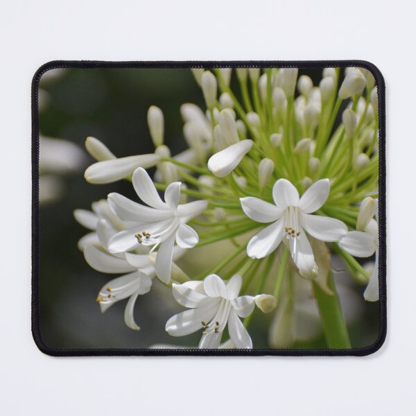 Item preview, Lily of the Nile designed and sold by okomedesign.