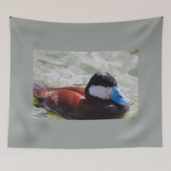 Item preview, Ruddy Duck designed and sold by Wayne Thomson.