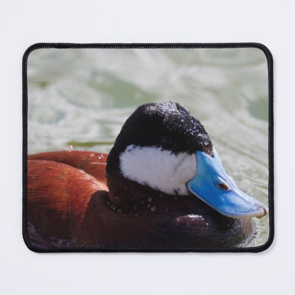 Item preview, Ruddy Duck designed and sold by Wayne Thomson.