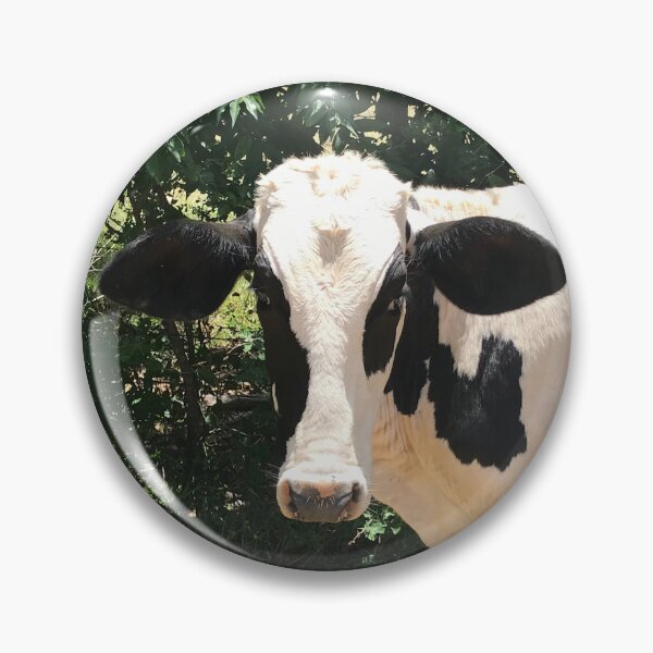 Item preview, Cow photograph designed and sold by CPAdesigns.